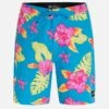 Weekender 20" Boardshort 1 Weekender 20" Boardshort -Borcelle Cloth Store MBS0011540 ARCTIC NEON 1