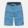 Weekender Boardshort 20" -Borcelle Cloth Store MBS0011540 THUNDER BERRY 1