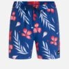 Phantom Eco Cannonball Volley 17" Boardshort -Borcelle Cloth Store MBS0011550 HURRICANE 1