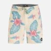 Phantom Naturals Tailgate Boardshort 18"