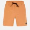 PHANTOM ZUMA II VOLLEY 18" WALKSHORT -Borcelle Cloth Store MWS0006960 BENTLEYBROWN 1