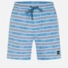 JAQUARD VOLLEY 18" WALKSHORT -Borcelle Cloth Store MWS0007320 SEAVIEW 1