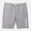 Essential One And Only Boardshort 1 Essential One And Only Boardshort -Borcelle Cloth Store hfa22vmb 05196 grey white 1