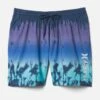 Essential Phantom Punta Arenas Volley Boardshort 17" -Borcelle Cloth Store hfa22vms 05187 navy 1