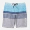 Essential Epic Ombre Boardshort 20" -Borcelle Cloth Store hsp22vmb 04224 baby blue 1